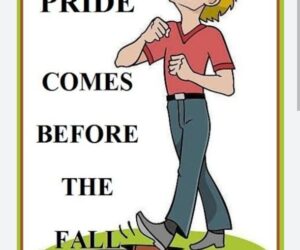 Pride comes before a fall विनाश से पहले अभिमान आता है