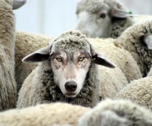 Being Protected By Deception