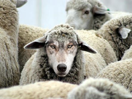 Being Protected By Deception