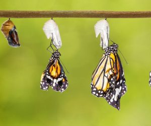 Transformation through finding security in the Lord