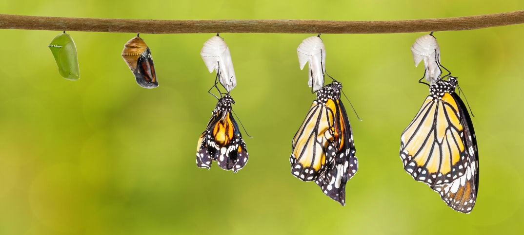 Transformation through finding security in the Lord