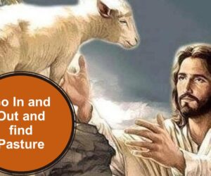 Go in and Out and find Pasture