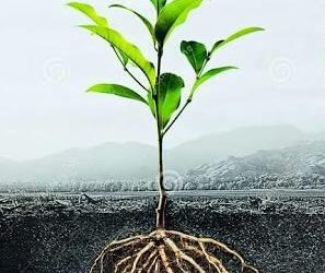 Being Hidden – Spirit’s Nature