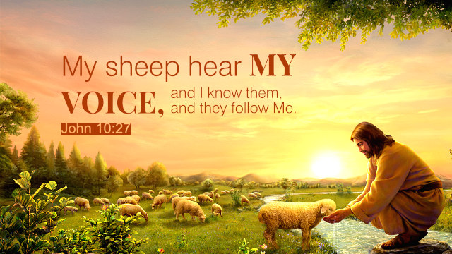 My Sheep hear my Voice [Main Message]