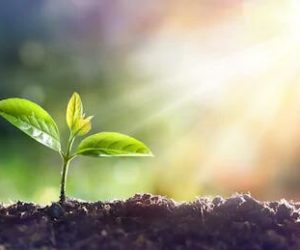 Few secrets of the newness of life