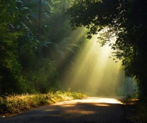 Walking In True  Holiness