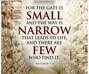 Enter through the narrow way