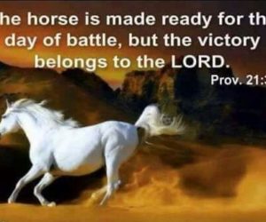 Victory Comes From The Lord