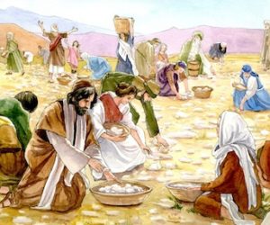 God’s viewpoint on our earthly status