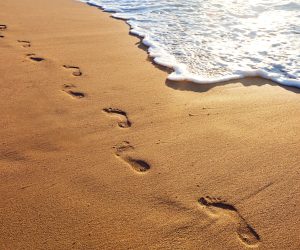 Learning Meekness from Jesus