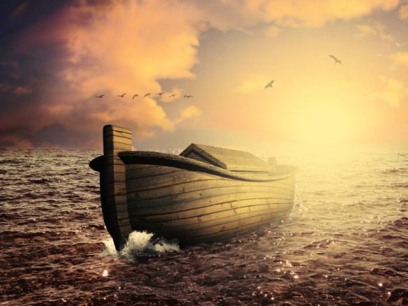 Lessons from the times of Noah