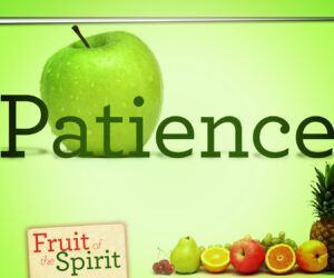 Spiritual Fruit – Patience