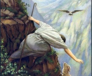 Being loved by a Merciful Shepherd
