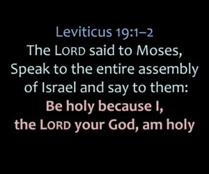 Holiness of Christ in Us