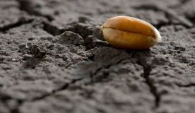 Bearing Fruits Of Repentance